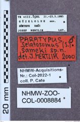 Etikette zu Selatosomus sameki 2 1 PT () (NHMW-ZOO-COL-0008884)